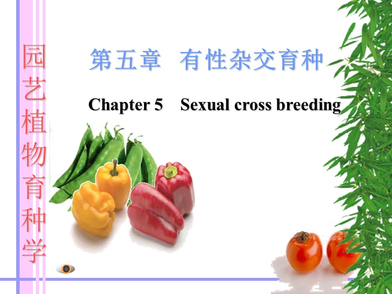 园艺植物育种学-有性杂交育种.ppt_第1页