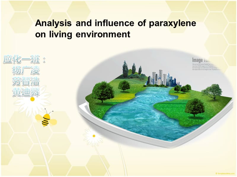 对二甲苯的发展现状分析及其对环境的影响.ppt_第1页