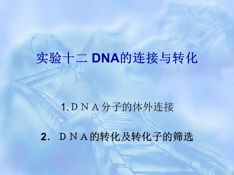 实验十二DNA连接与转化.ppt_第1页