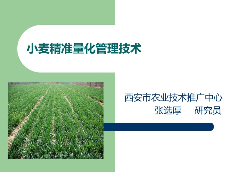 小麦精准量化管理技术-西安农技中心.ppt_第1页