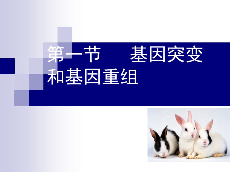 基因突变和基因重组ppt.ppt_第1页