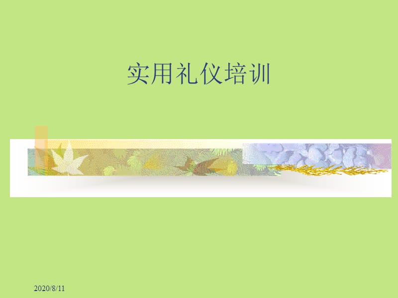 实用礼仪培训讲义.ppt_第1页