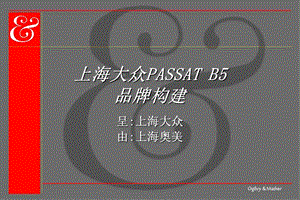 奥美-上海大众PASSATB5品牌构建.ppt