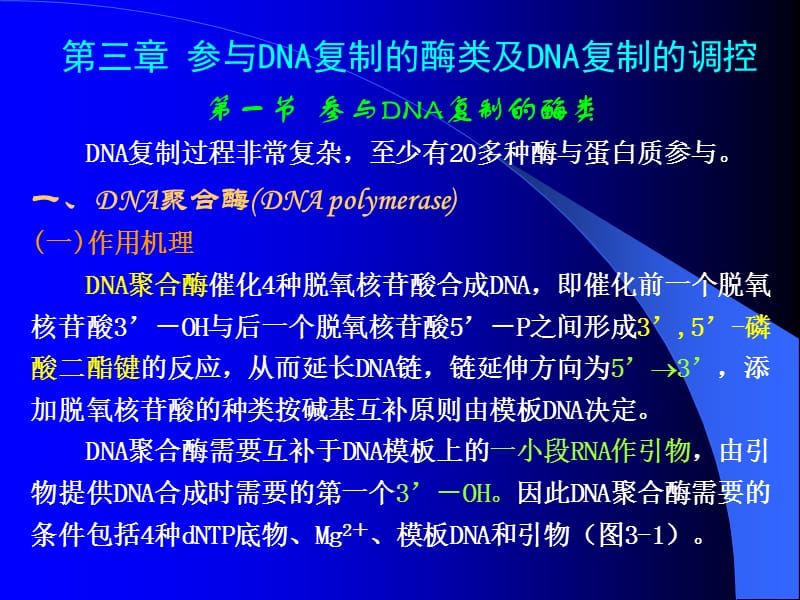 參與DNA復(fù)制的酶類及DNA復(fù)制的調(diào)控(論文資料).ppt_第1頁(yè)