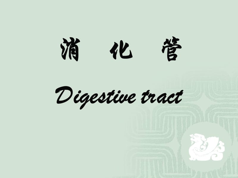 消化管digestivetract-组织学与胚胎学.ppt_第1页