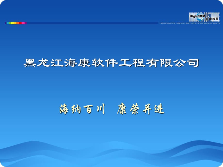 海康软件外包业务(中文).ppt_第1页