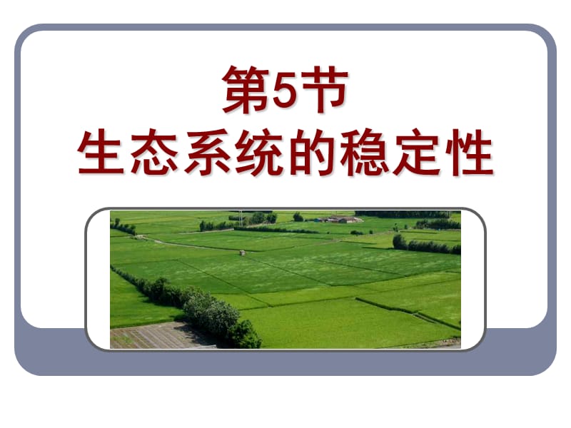 生态系统的稳定性.ppt_第1页