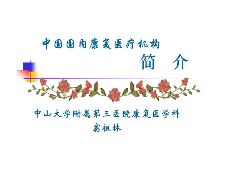 海内康复医疗机构简介(指南).ppt_第1页