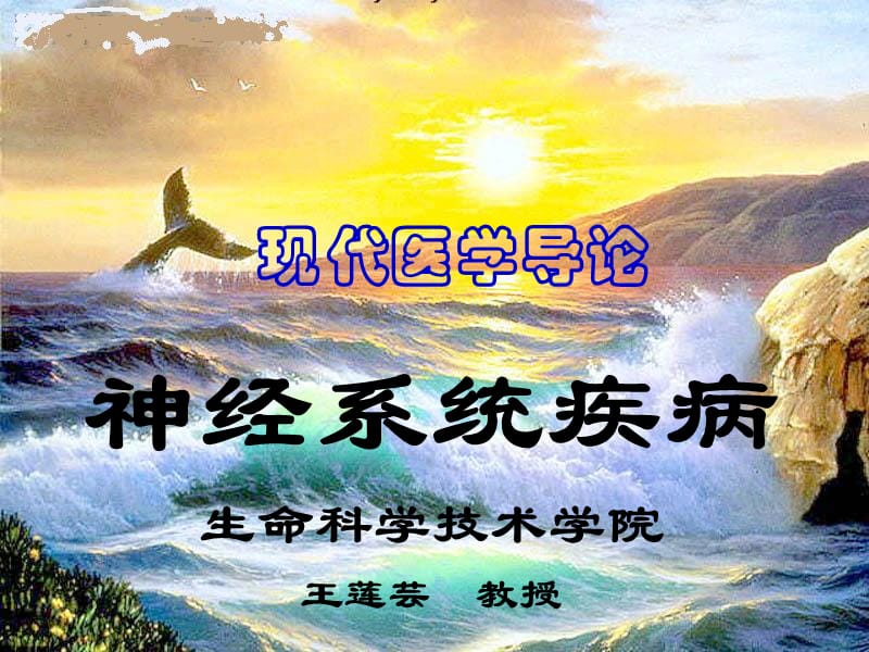 現(xiàn)代醫(yī)學(xué)導(dǎo)論神經(jīng)系統(tǒng).ppt_第1頁(yè)