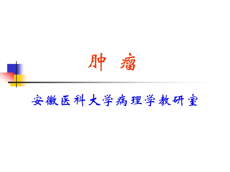 病理学实验教案-肿瘤篇.ppt_第1页