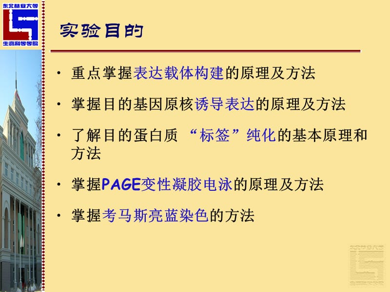 目的基因的原核诱导表达及SDS-PAGE凝胶电泳.ppt_第2页