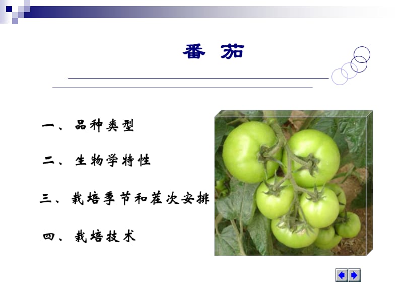 番茄无公害栽培技术.ppt_第3页