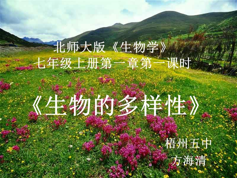 生物的多样性北师大版.ppt_第1页