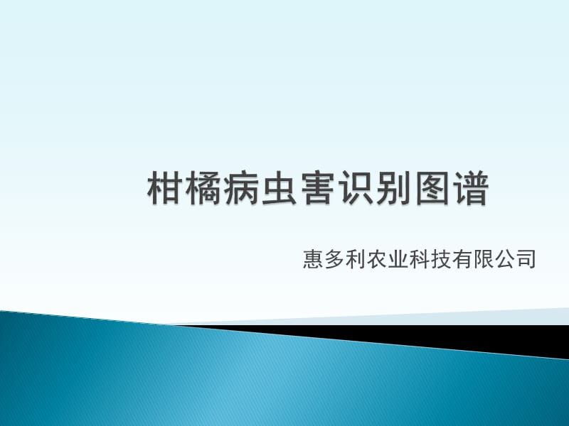 柑橘病虫害识别图谱.ppt_第1页