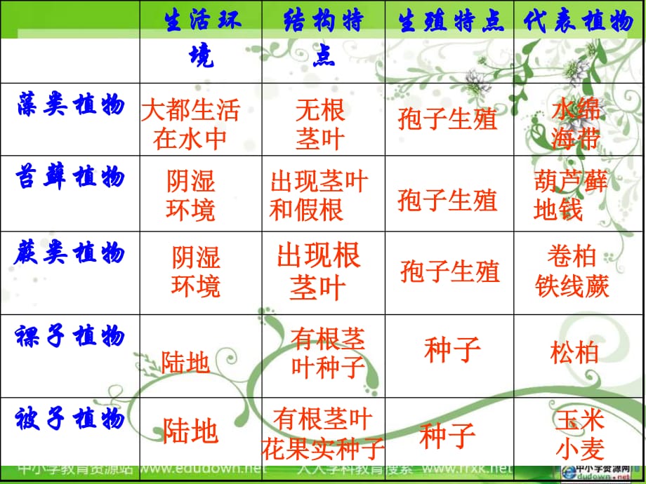 济南版生物七上第二节《绿色植物的蒸腾作用》ppt课件之二.ppt_第1页