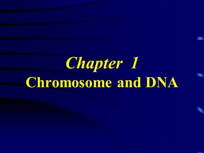 染色体与DNA(ChromosomeandDNA).ppt_第1页