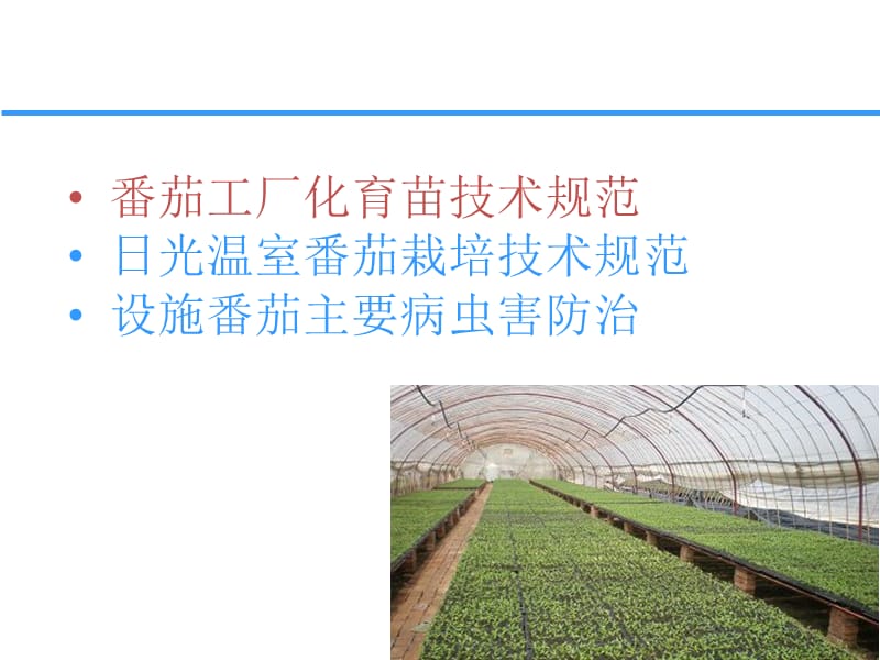 番茄栽培规范化栽培技术.ppt_第2页