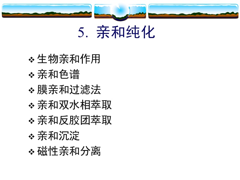 生化分离工程5.亲和纯化.ppt_第1页