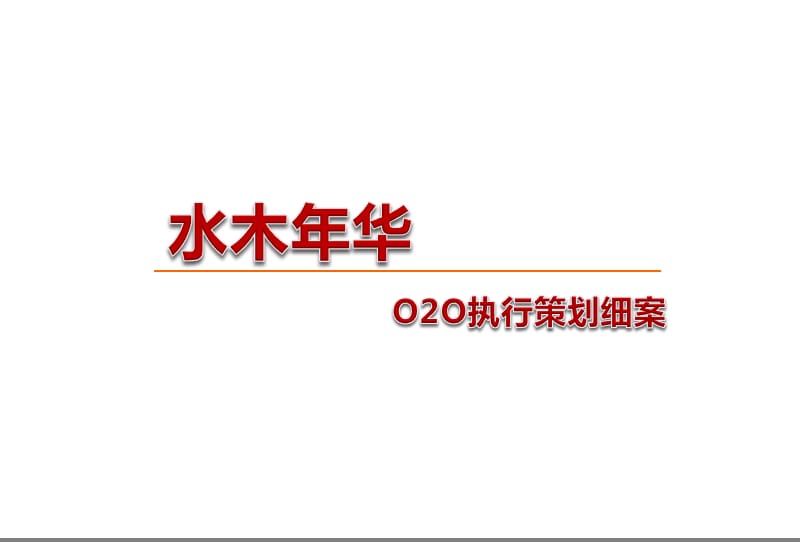 水木年華項(xiàng)目網(wǎng)絡(luò)電商銷售推廣合作執(zhí)行策劃方案.ppt_第1頁