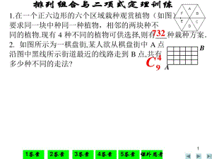 排列組合與二項(xiàng)式定理訓(xùn)練以后再編.ppt