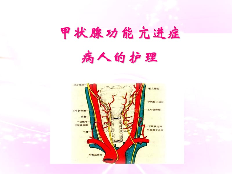 甲状腺功能亢进症病人的护理.ppt_第1页