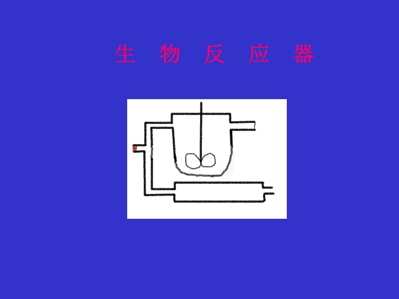 生物酶反应器讲座PPT.ppt_第1页