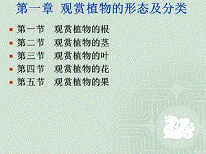 觀賞動植物學-觀賞植物基礎知識.ppt