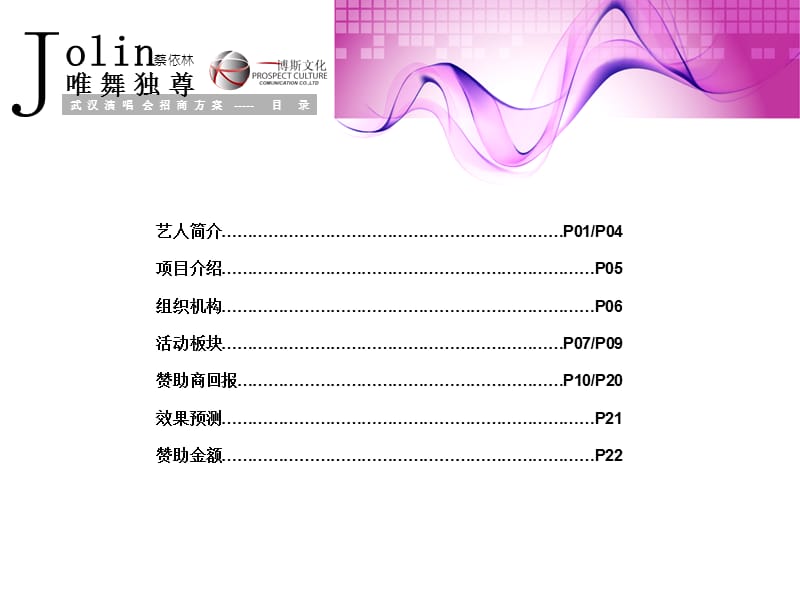 蔡依林武汉演唱会招商策划方案.ppt_第2页