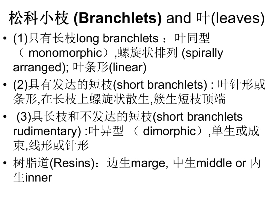 裸子植物溫習(xí)資料.ppt_第1頁