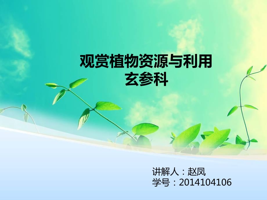 觀賞植物資源與利用.ppt_第1頁(yè)