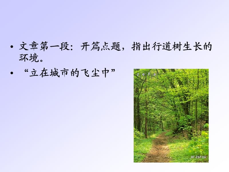 行道树 人教版七上.ppt_第3页