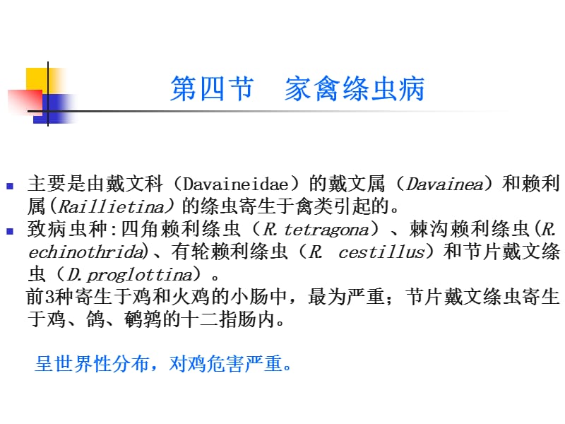 绦虫病家禽绦虫病.ppt_第1页