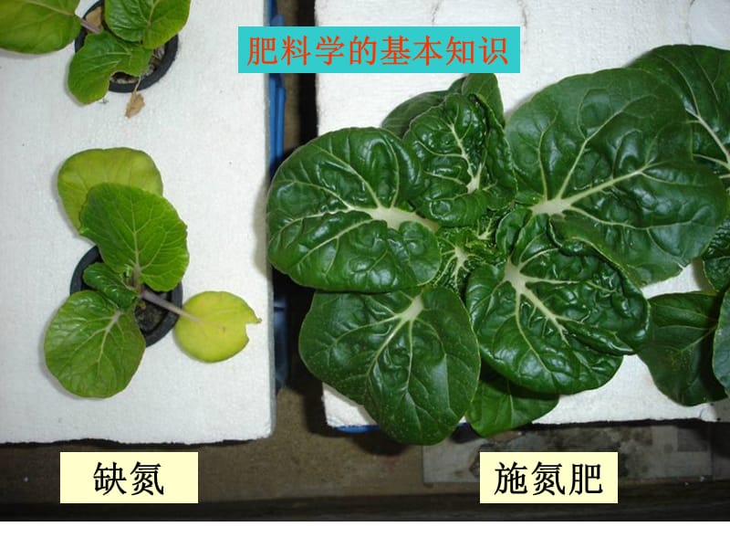 肥料学的基本知识(讲)-张承林.ppt_第1页