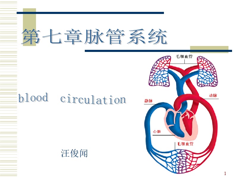 解剖生理学-第七章脉管系统-第一、二节.ppt_第1页