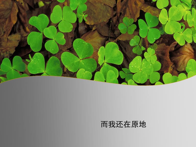 自然封面PPT模板.ppt_第1页