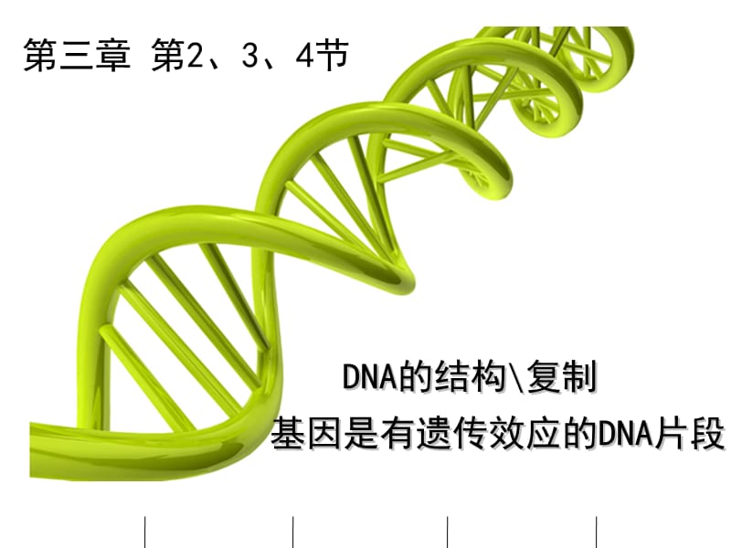 輪DNA分子的結(jié)構(gòu)、復(fù)制及基因是有遺傳效應(yīng)的DNA片段.ppt_第1頁