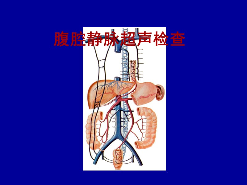 腹腔静脉超声检查王炯.ppt_第1页