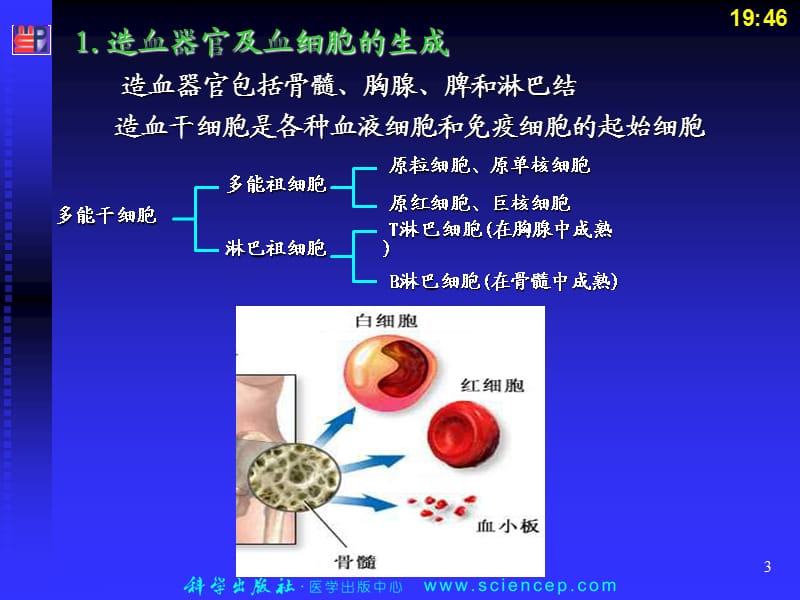 血液科学版《内科护理学》.ppt_第3页