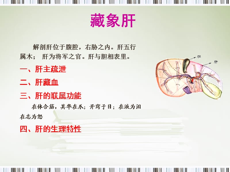 藏象肝广东中医药大学中医学.ppt_第1页