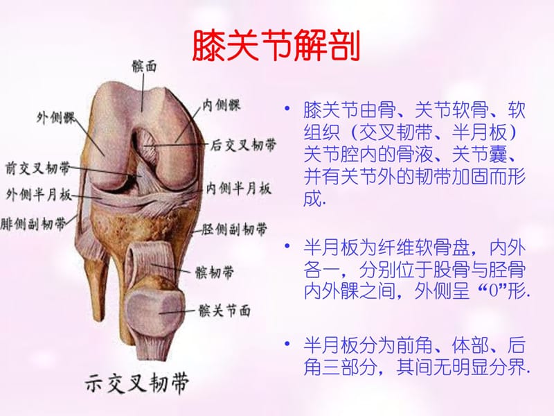 罕见膝部关节镜手术及术后康复法度模范(精彩).ppt_第3页