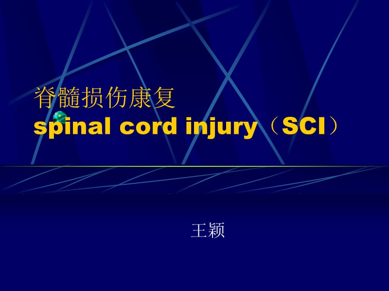脊髓损伤康复spinal cord injury(SCI).ppt_第1页