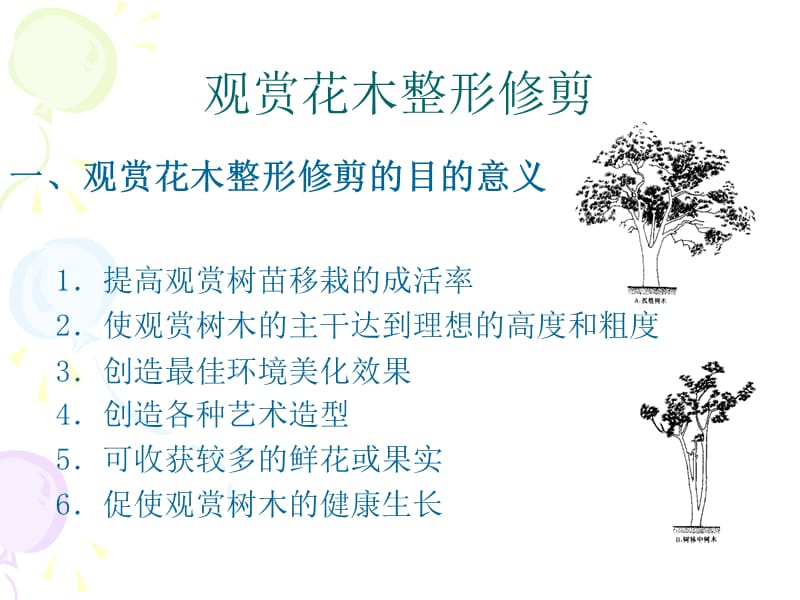 觀賞植物整形修剪技術(shù).ppt_第1頁(yè)