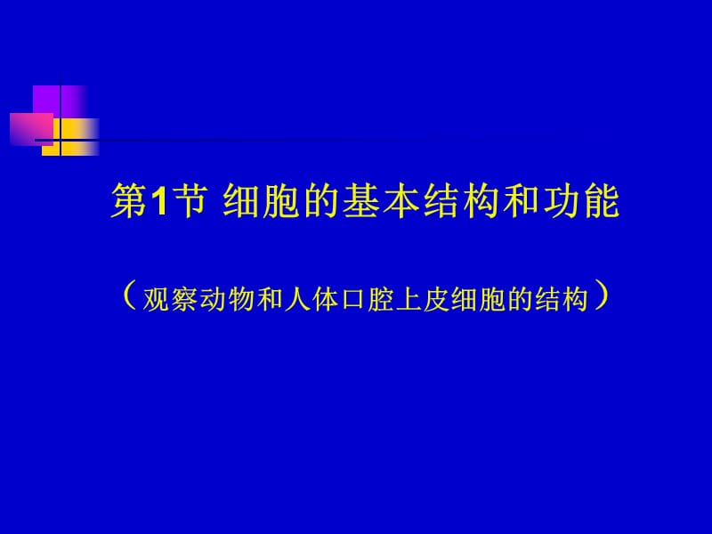 觀察動(dòng)物和人口腔上皮細(xì)胞的結(jié)構(gòu).ppt_第1頁(yè)