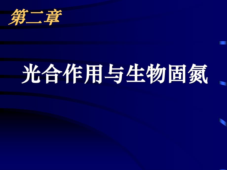 高三生物光合作用與生物固氮.ppt_第1頁