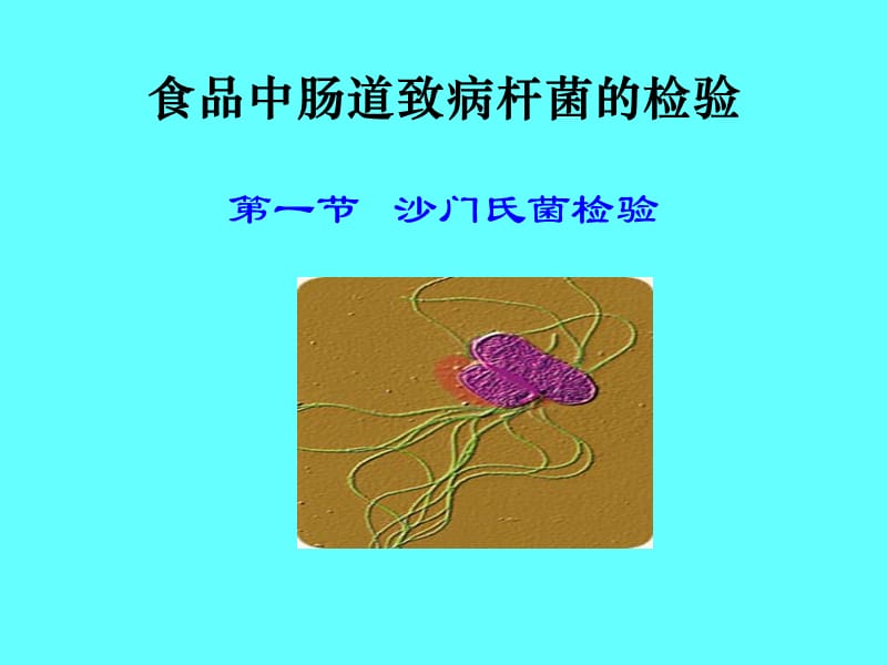 食品中沙门氏菌检验.ppt_第1页