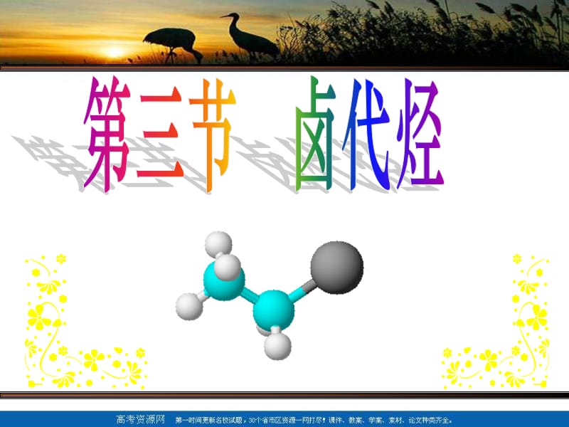 高二化学卤代烃课件.ppt_第1页