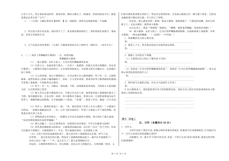 2019年六年级语文【下册】期末考试试题A卷 附解析.doc_第3页