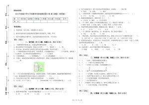 2019年实验小学小升初数学考前检测试卷D卷 新人教版（附答案）.doc