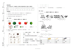 2019年實(shí)驗(yàn)小學(xué)一年級(jí)數(shù)學(xué)上學(xué)期過(guò)關(guān)檢測(cè)試題 新人教版（附解析）.doc