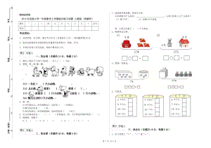 2019年實(shí)驗(yàn)小學(xué)一年級(jí)數(shù)學(xué)上學(xué)期綜合練習(xí)試題 人教版（附解析）.doc